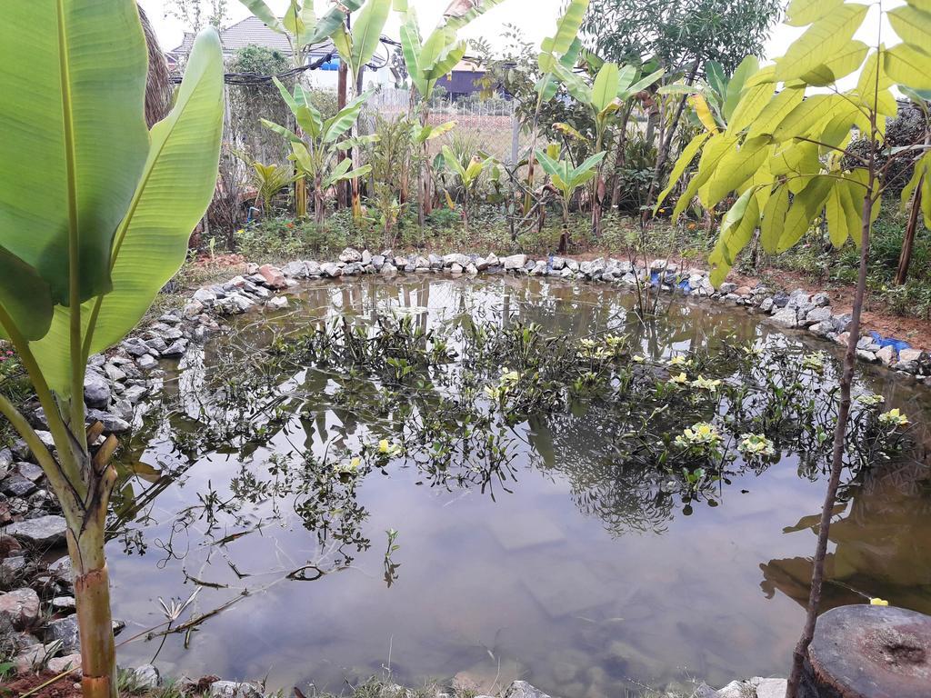 Angkor Rural Boutique Resort Siem Reap Eksteriør billede