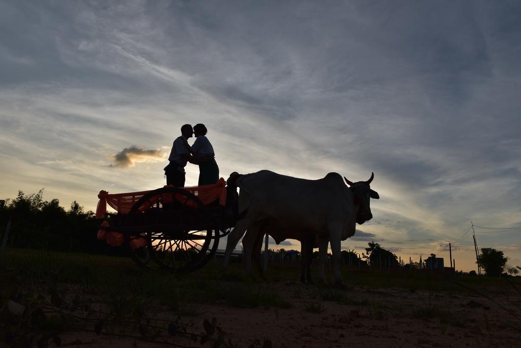 Angkor Rural Boutique Resort Siem Reap Eksteriør billede