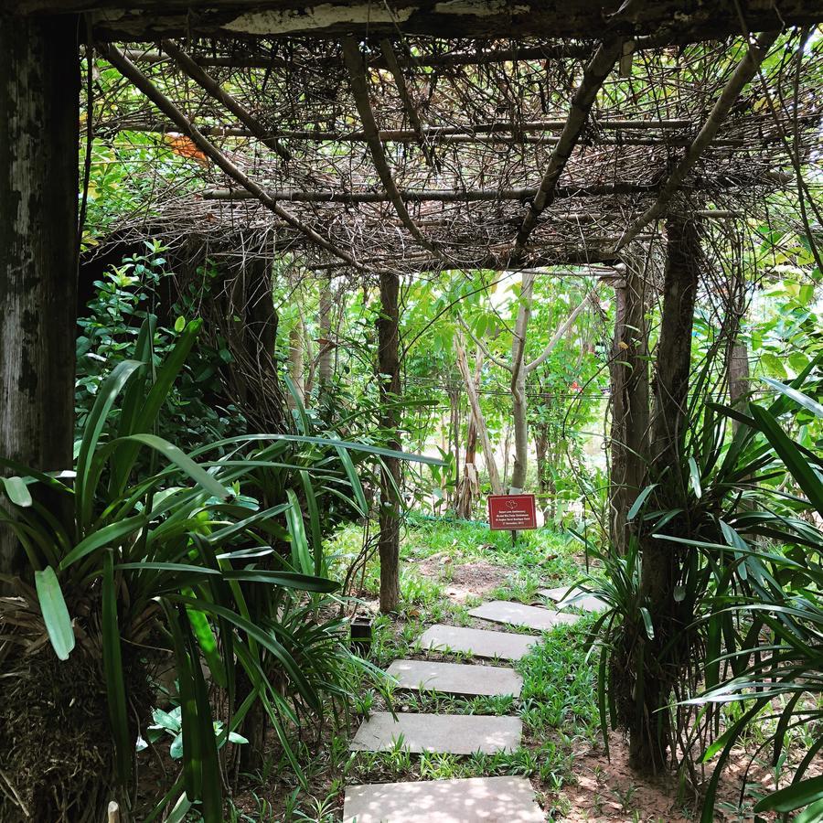 Angkor Rural Boutique Resort Siem Reap Eksteriør billede