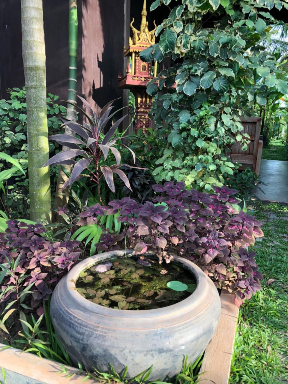 Angkor Rural Boutique Resort Siem Reap Eksteriør billede